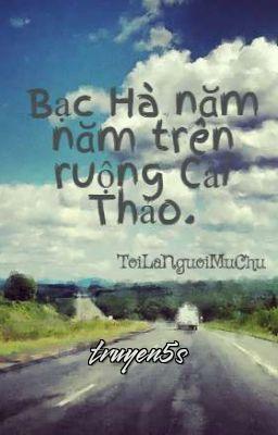 Đọc truyện Bạc Hà Năm Năm Trên Ruộng Cải Thảo - Tôi Là Người Mù Chữ