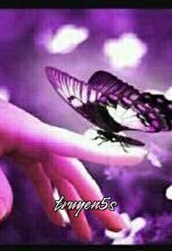 truyện Cậu Là Thư Triển Nhan, Tớ Là Thường Hoan Hỉ Đọc truyện Cậu Là Thư Triển Nhan, Tớ Là Thường Hoan Hỉ - Tả Tả Khán