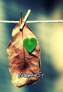 truyện Chiếc Lá Ký Sinh Đọc truyện Chiếc Lá Ký Sinh - Phong Dạ Hân