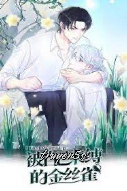 truyện Chim Hoàng Yến Bị Trói Buộc Bởi Chính Mình Đọc truyện Chim Hoàng Yến Bị Trói Buộc Bởi Chính Mình - Ngư Nhị