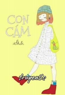 truyện Con Cám Đọc truyện Con Cám - Shibi