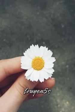 truyện Cúc Họa Mi Và Mùa Hạ Đọc truyện Cúc Họa Mi Và Mùa Hạ - _imlynn_