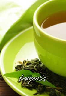 truyện Dư Vị Trà Tâm Đọc truyện Dư Vị Trà Tâm - hoa xương rồng
