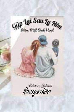Đọc truyện Gặp Lại Sau Ly Hôn - JolinaGG