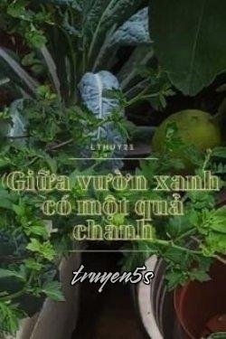 Đọc truyện Giữa Vườn Xanh Có Một Quả Chanh - Bạch Tuộc Không Biết Bơi (Lthuy21)