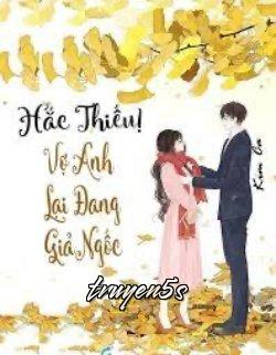 truyện Hắc Thiếu, Vợ Anh Lại Đang Giả Ngốc Đọc truyện Hắc Thiếu, Vợ Anh Lại Đang Giả Ngốc - Kim Ca