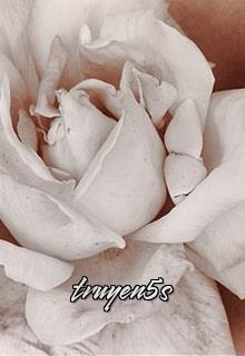 truyện Hẹn Ước (Promises) Đọc truyện Hẹn Ước (Promises) - Lisa Kleypas