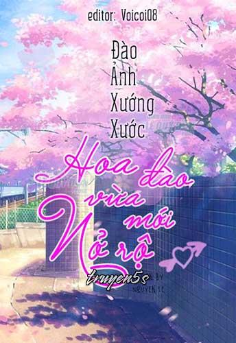 Đọc truyện Hoa Đào Nở Rộ - Đào Ảnh Xướng Xước