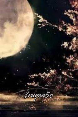 truyện Khả Tích Xuân Đương Mộ Đọc truyện Khả Tích Xuân Đương Mộ - Mẫu Đan Sư Tử