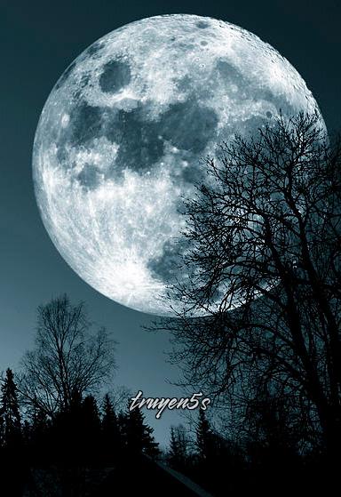 truyện Linh Hồn Của Quỷ... Đọc truyện Linh Hồn Của Quỷ... - Team Ám Ảnh 2K4