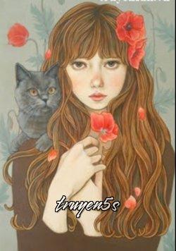 Đọc truyện Mèo Và Linh Hồn - Zhihu