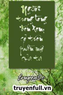 truyện Người Trong Lòng Đến Thăm Cỏ Trên Mộ Ta Đọc truyện Người Trong Lòng Đến Thăm Cỏ Trên Mộ Ta - Trường Yên