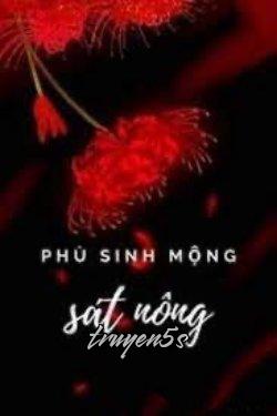 truyện Phù Sinh Mộng Sát Nông Đọc truyện Phù Sinh Mộng Sát Nông - 11看辰吃橙