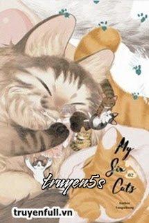 truyện Sáu Con Mèo Tranh Nhau Muốn Nuôi Ta Đọc truyện Sáu Con Mèo Tranh Nhau Muốn Nuôi Ta - Diễm Quy Khang