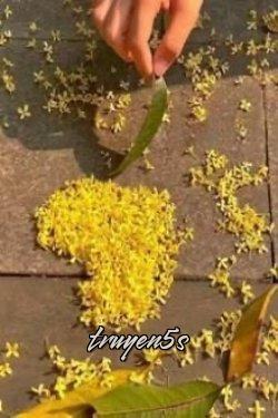 Đọc truyện Tên Của Anh Ấy - Zhihu