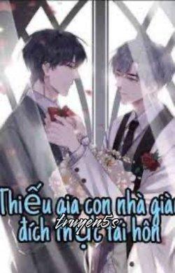 Đọc truyện Thiếu Gia Con Nhà Giàu Đích Thực Tái Hôn - Quất Tử Chu