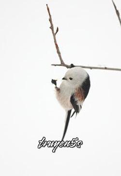 Đọc truyện Thượng Đế Phù Hộ - Tần Tam Kiến