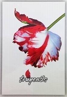 Đọc truyện Twilight Series Tập 2: Trăng Non - Stephenie Meyer