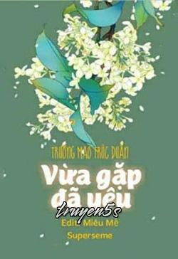 Đọc truyện Vừa Gặp Đã Yêu - Trường Mao Trúc Duẩn